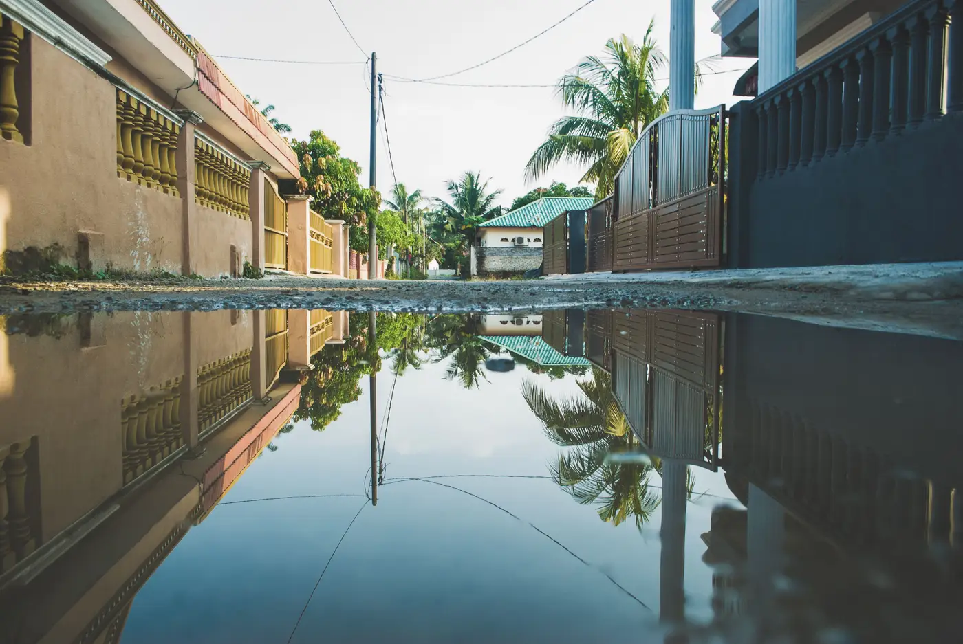 A rainwater puddle filling a residential alley between houses, with palm trees reflected in the water.